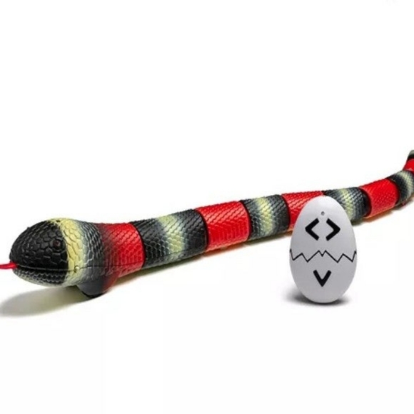 Discovery Snake - Picture 2 of 2